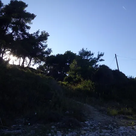 Sea & Forest Kallithea (Chalkidiki)