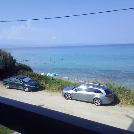 Sea & Forest