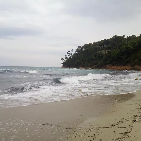 Sea & Forest *