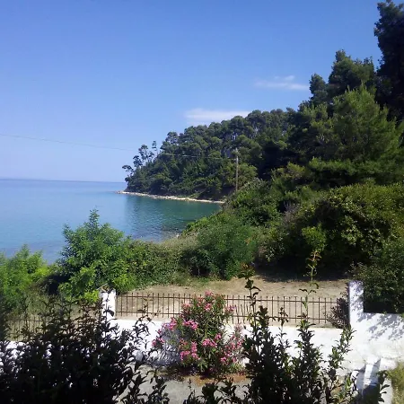 Sea & Forest Kallithea (Chalkidiki)