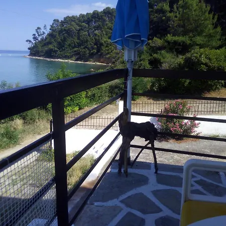 Sea & Forest Διαμέρισμα