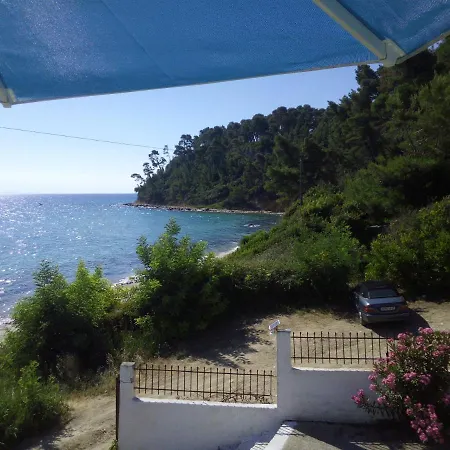 Sea & Forest * Kallithea (Chalkidiki)