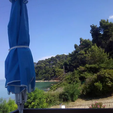 Sea & Forest *