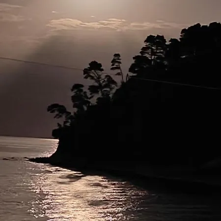 Sea & Forest Διαμέρισμα