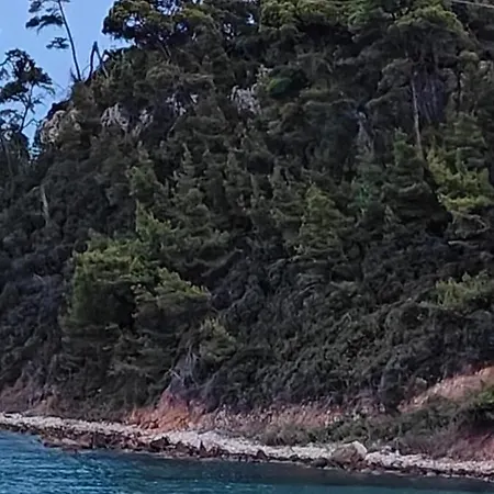 Διαμέρισμα Sea & Forest