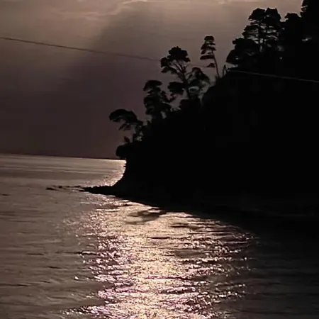 Sea & Forest * Kallithea (Chalkidiki)