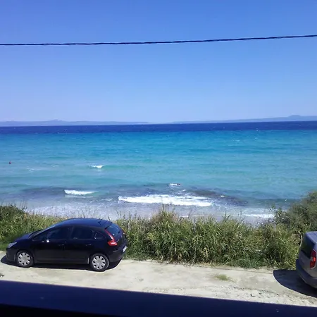 Sea & Forest