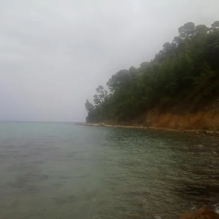 Sea & Forest Appartamento