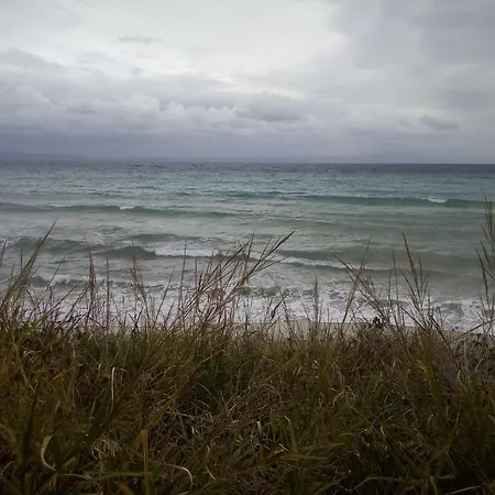 Sea & Forest *