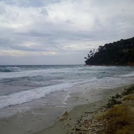 Sea & Forest Appartamento