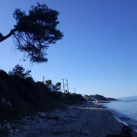 Sea & Forest * Kallithea (Chalkidiki)