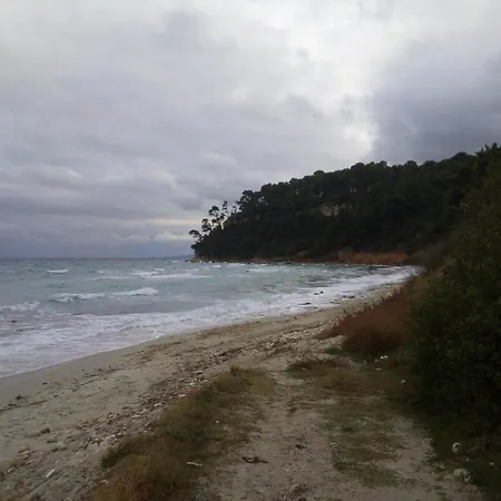 Sea & Forest Appartamento